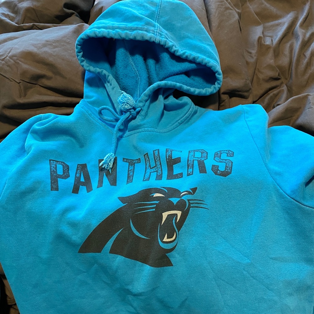 Carolina Panther’s Men’s Hoodie